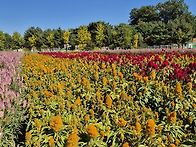이상동님 나리농원에서