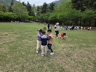 &#127795;숲체험을 