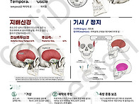 104 측두근 명칭기..