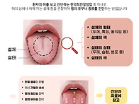 설진의 의미