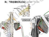 1126 대원근 복사..