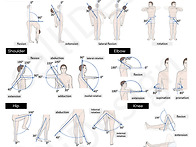 21 관절가동범위 ..