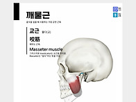 함께 근육공부 v..