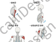 1080 견관절 신전..
