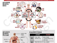 255 만성염증 복..