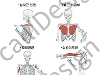 1079 견관절 굴곡..
