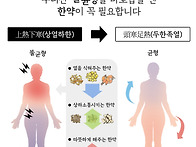 (세로 사이니지용..