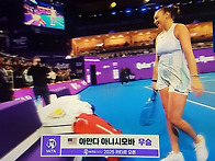 2025 WTA1000 카타르 오..