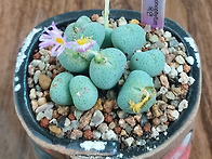 2025년10월31일 금요일 출..