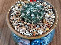 2025년11월4일 화요일 출..