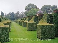 전원주택의 조경양..