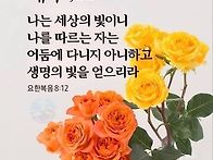 🌺㇮..
