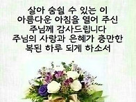 🌺㇮..