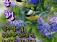 🌺㇮