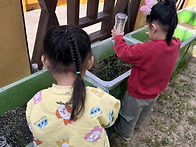 식물에 물주기&흡연예방교..