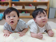 초롱이들의 귀여운 모습들