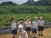 견학(고구마캐러갔어요) ..