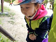 즐거운1반 5월2주..