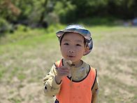 어울림반 4월 5주 놀이사진..