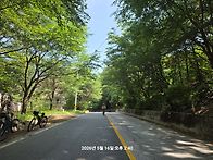 천화대님토정라 사진