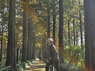 11월 5일 수정라 예산 번..