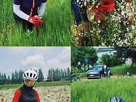 아라온 청보리밭 사진영상