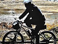 굴사냥을향하여달린다