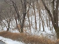 토정라:천화대번짱님의 분..