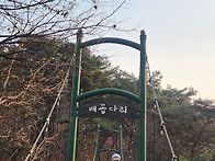 일정라 왕방산입구 탐험!