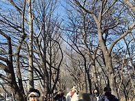 12월22일(월요일)트레킹