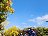 서울대합격을 축하드립니다..