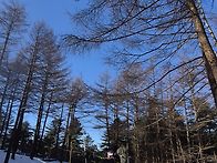 26년1월2일 태기산트레킹