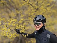 산수유마을거쳐 용문까지