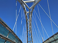 12월30화정라 회계