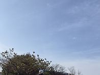 12월2일(화요일)서오능라이..