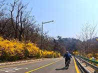 26 / 4 - 2 (목) / 북..