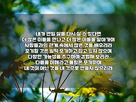 내가 만일 삶을 다시 살 ..