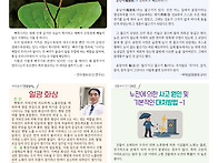 미르말 138호