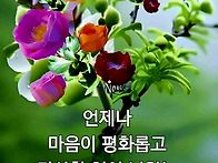 사