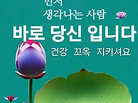 사