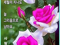 사
