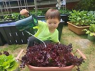 🌱텃밭프로젝..