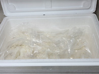 ★★1등축산에서 ..