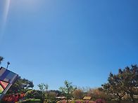 태안 원예지유260509