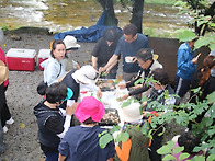 오대산3