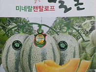 칸탈로프 멜론 종자 씨앗 ..