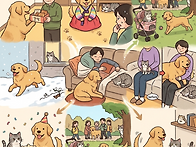 개와 고양이 사이, 털 뭉..