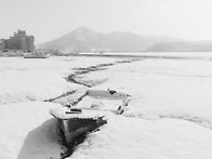 배 하나