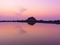 반영