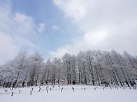 만항재